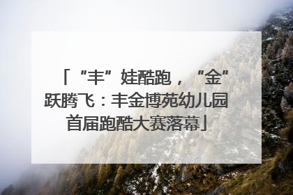 “丰”娃酷跑，“金”跃腾飞：丰金博苑幼儿园首届跑酷大赛落幕